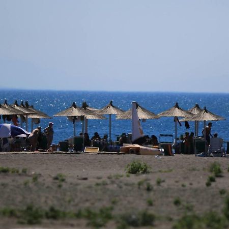 Velipojë Hotel Princi I Vogel מראה חיצוני תמונה