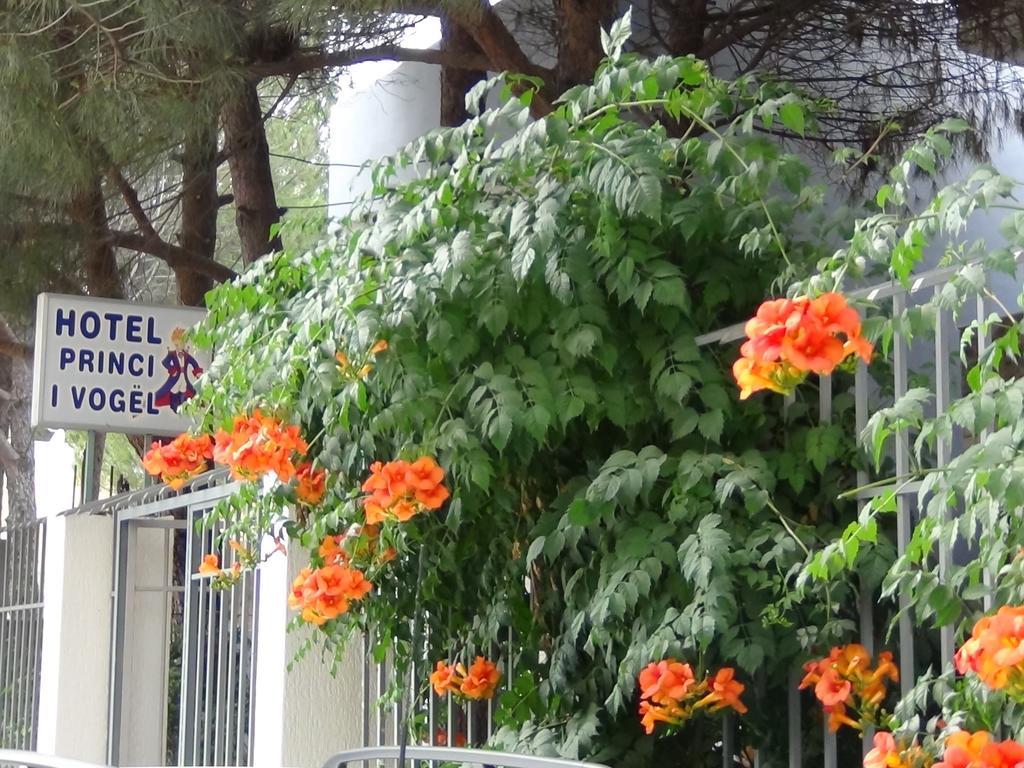 Velipojë Hotel Princi I Vogel מראה חיצוני תמונה