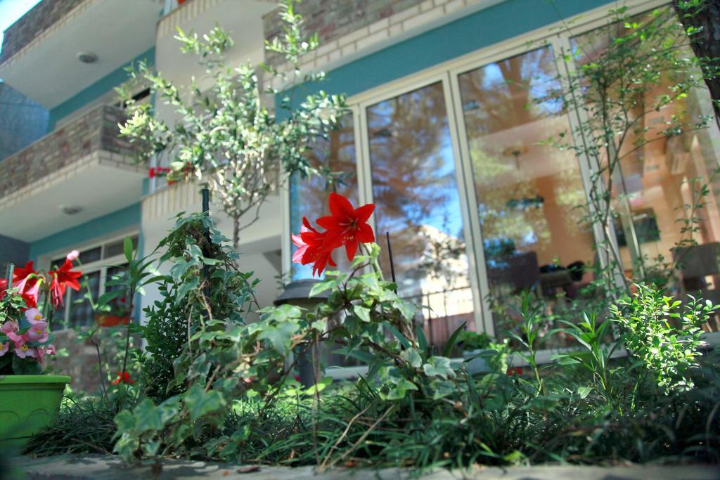 Velipojë Hotel Princi I Vogel מראה חיצוני תמונה